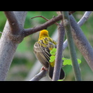 Vor unserer Terrasse